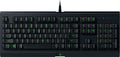 Cynosa Lite Chroma RGB (RZ03-02740600-R3M1) (Αγγλικό US)
