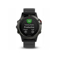 fenix 5 - Slate grey with black band (GA-010-01688-00)